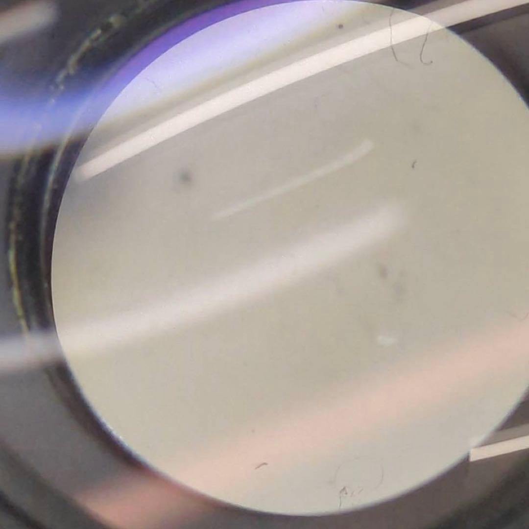 レンズ(単焦点) MINOLTA MC FISH-EYE ROKKOR-OK 16mm F2.8