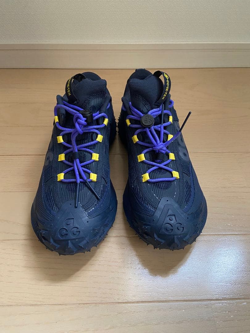 靴 NIKE ACG MOUNTAIN FLY 2 LOW GTX GORE-TEX