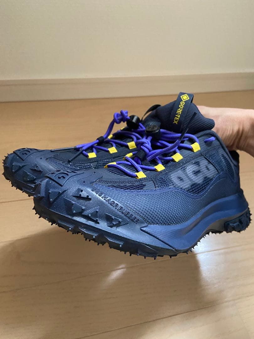 靴 NIKE ACG MOUNTAIN FLY 2 LOW GTX GORE-TEX