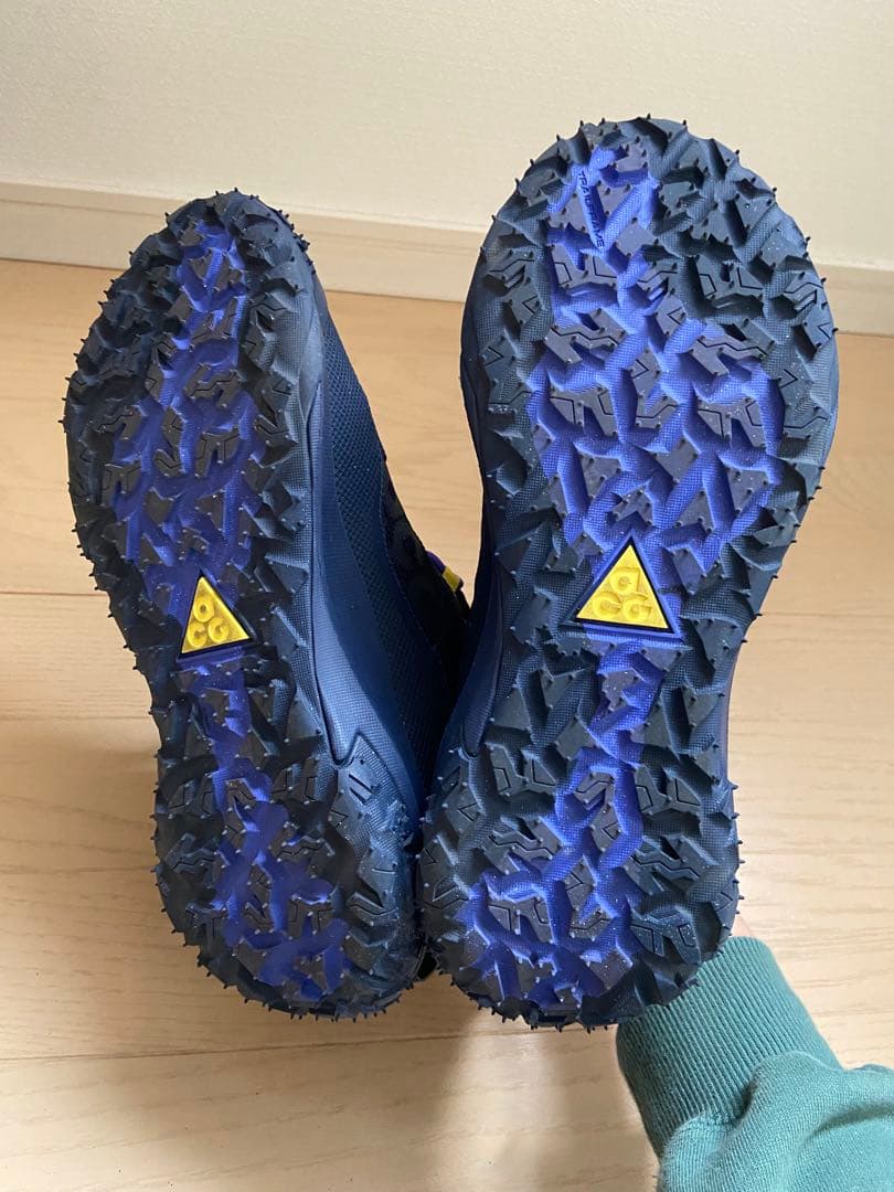 靴 NIKE ACG MOUNTAIN FLY 2 LOW GTX GORE-TEX