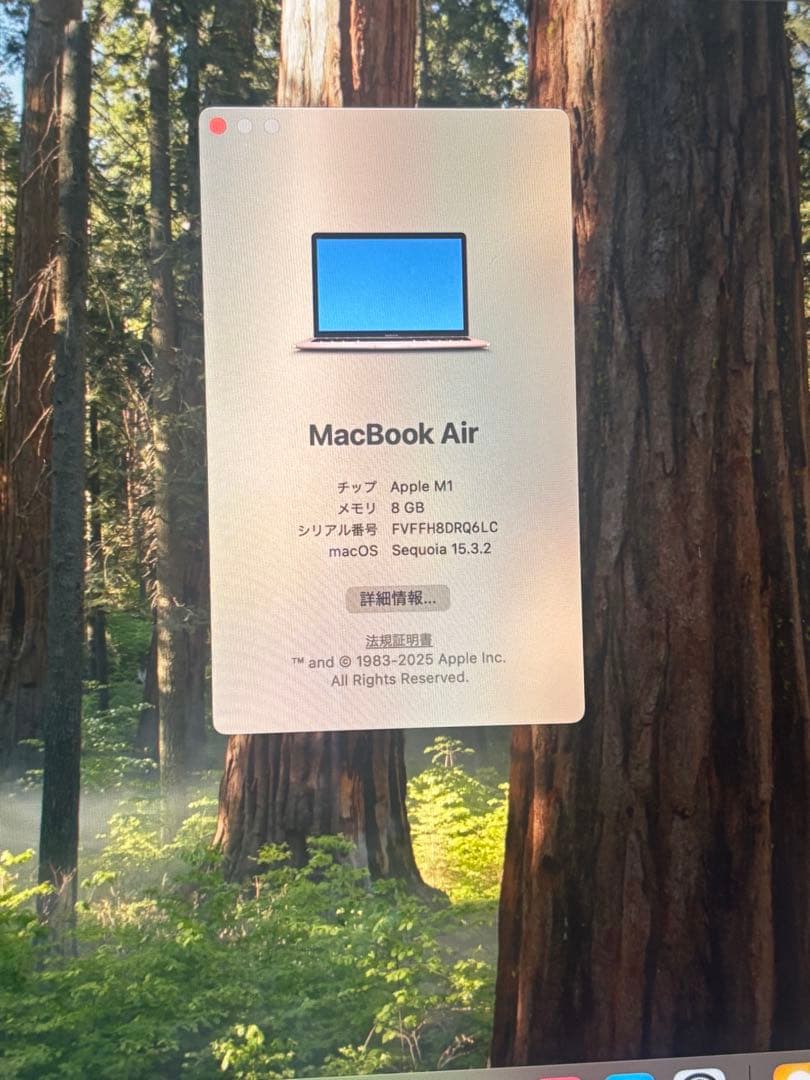 【超美品】MacBook Air M1 2020 本体　容量256GB ゴールド