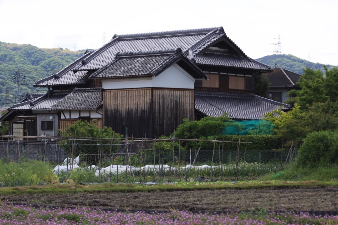 レンズ(ズーム) Canon EF 75-300mm F4-5.6 IS SUM