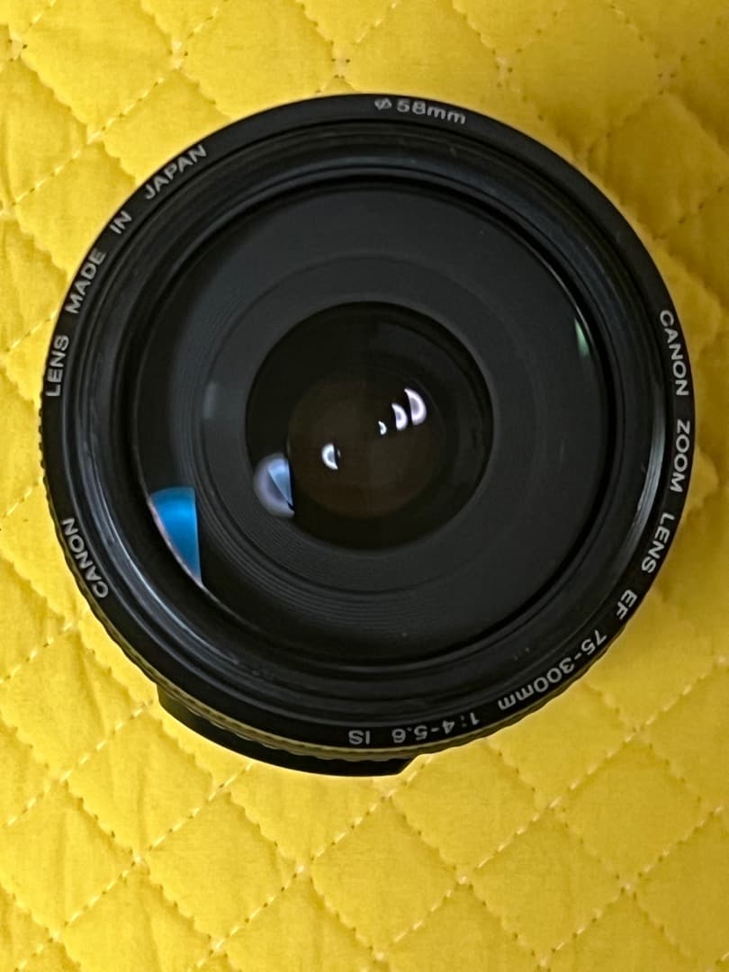 レンズ(ズーム) Canon EF 75-300mm F4-5.6 IS SUM