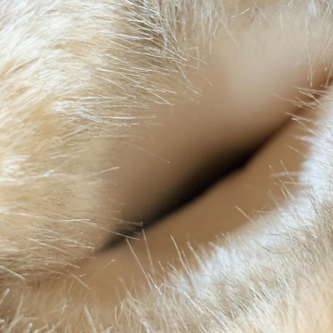 完売品 YELLO MOJU LONG BOOTS ベージュ Lサイズ