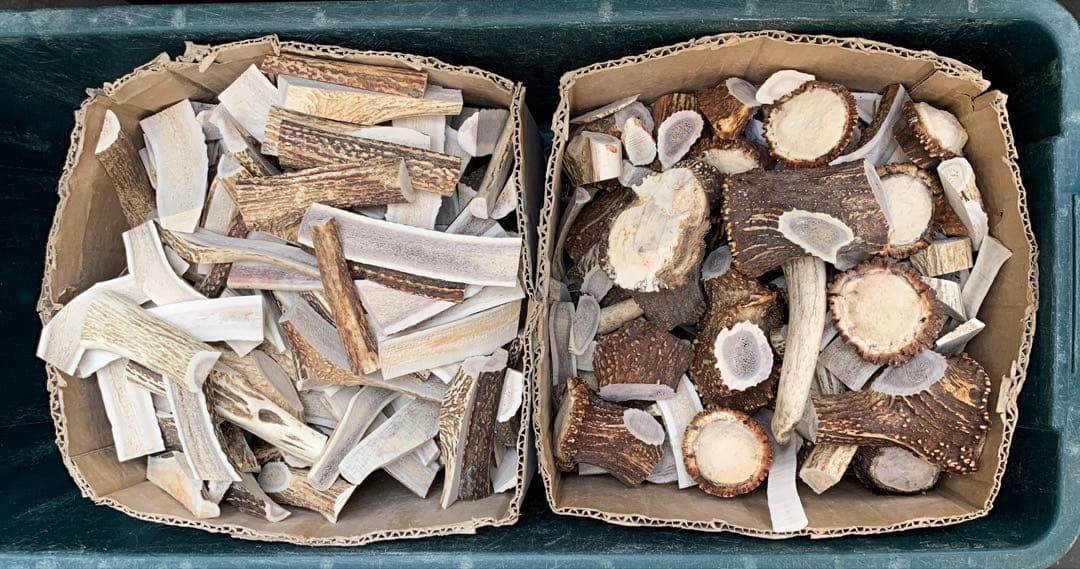 No.2134『鹿角加工材22.7kセット』鹿の角　エゾ鹿　鹿角　蝦夷鹿