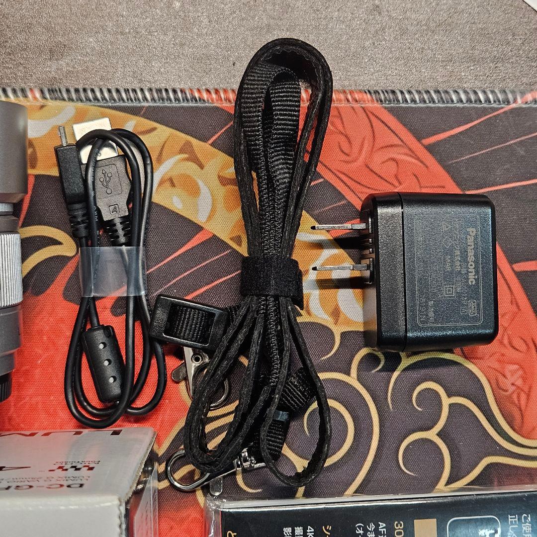 デジタルカメラ Panasonic Lumix GF9