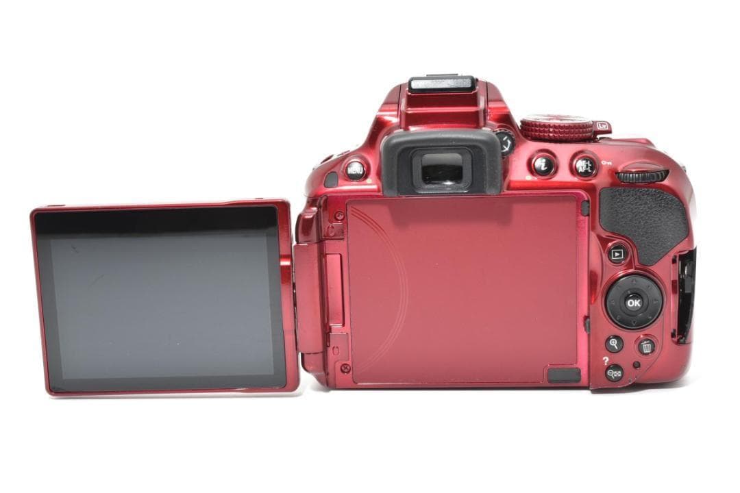 ■ 訳あり品 ■　ニコン Nikon D5300 レンズセット 動作確認済品