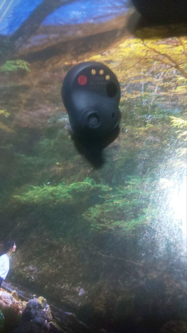 数量限定価格　ケース イヤホン両方バッテリー新品交換　wf-1000xm4おまけ