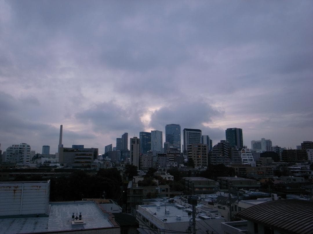 RICHO GR DIGITALⅡ 別売ワイコン、Headporterケース他