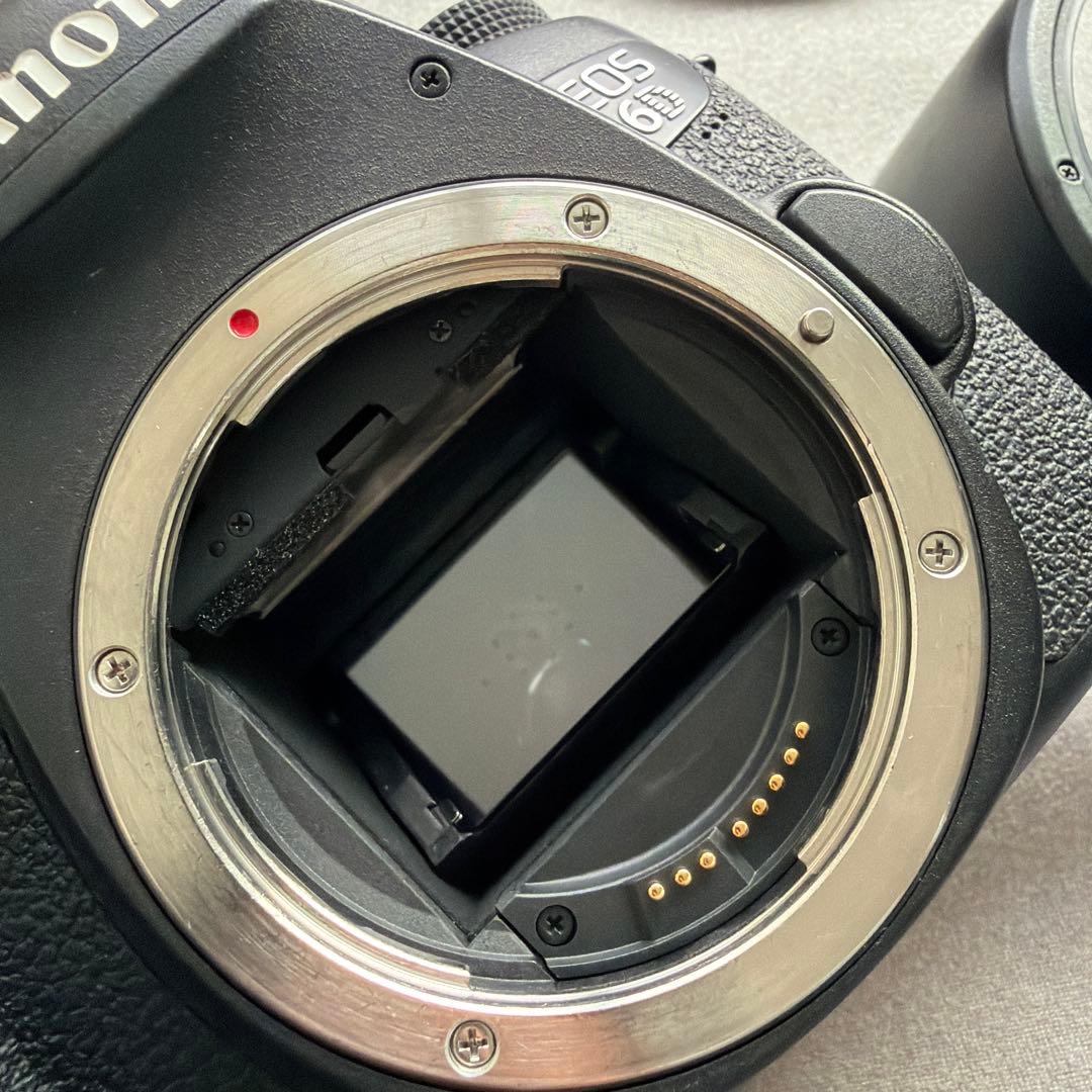 Canon EOS 6D デジタル一眼レフカメラ・24-70Lレンズセット