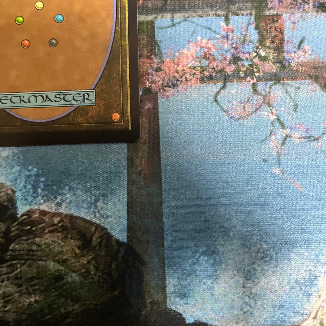 【タケ】MTG 乾燥台地/Arid Mesa ドラゴンスケイルFoil