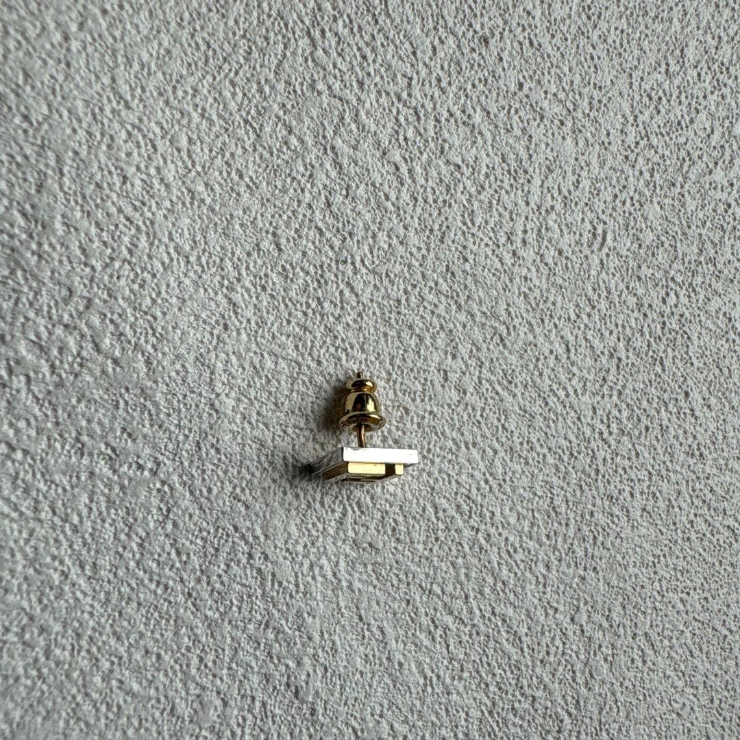 ✨FENDI earring✨フェンディピアス ズッカ 片耳 フェンディズッカ