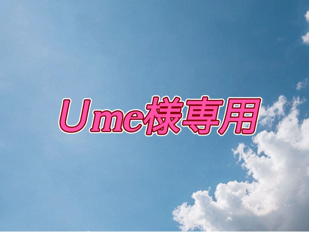 その他 Ume