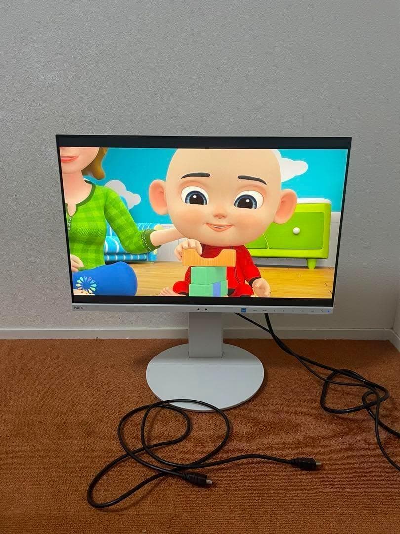 NEC MultiSync 19年製LCD-EA231WUモニター ディスプレイ