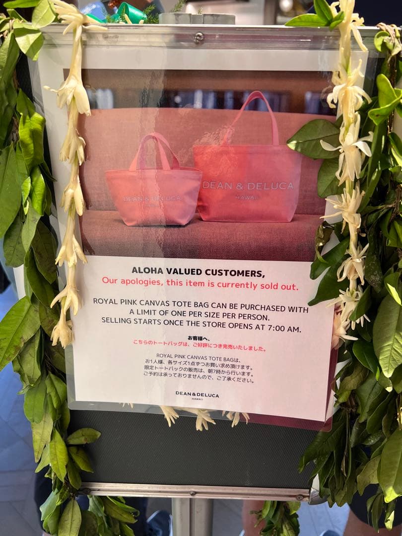 【新品未使用DEAN & DELUCA ハワイ リニューアル限定色　S（小）のみ