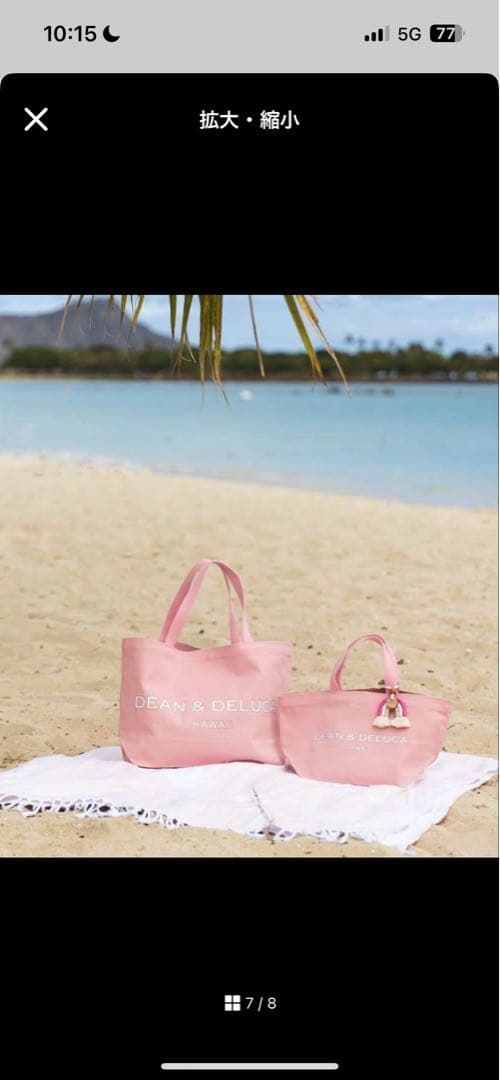 【新品未使用DEAN & DELUCA ハワイ リニューアル限定色　S（小）のみ