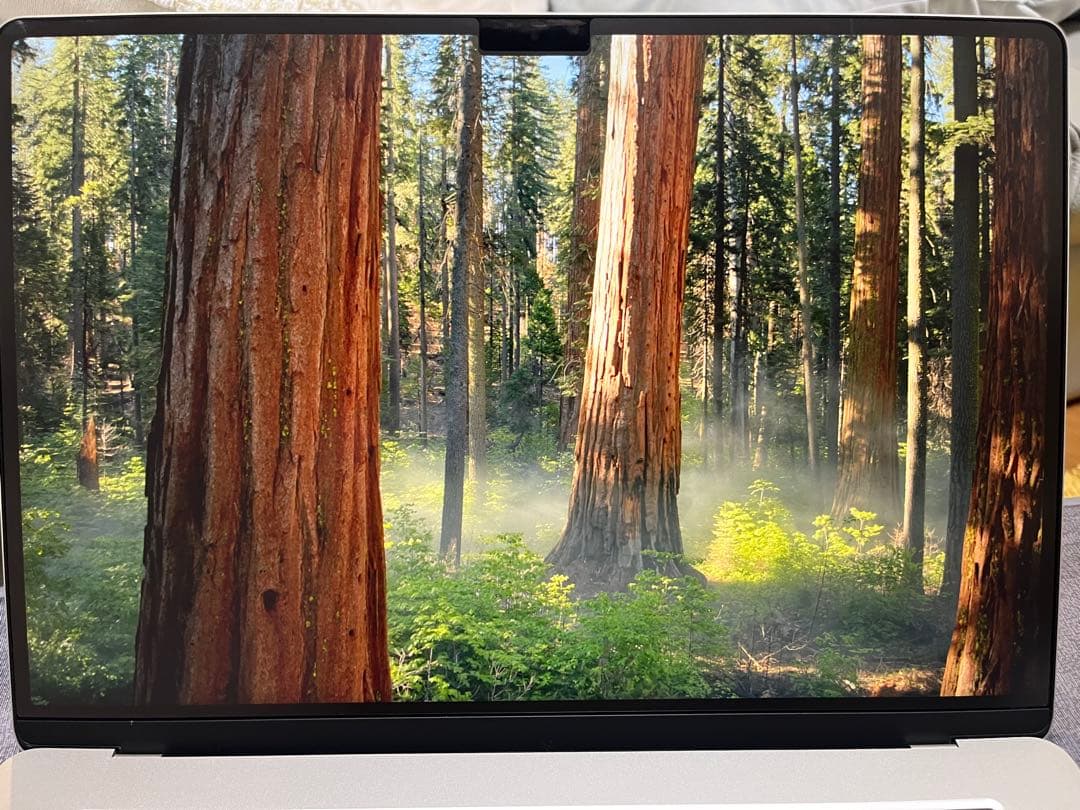 Apple MacBook Air M3 15インチMOFTスタンド付き