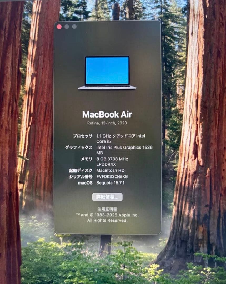 Apple MacBook Air 13インチ（2020年モデル/ A2179)