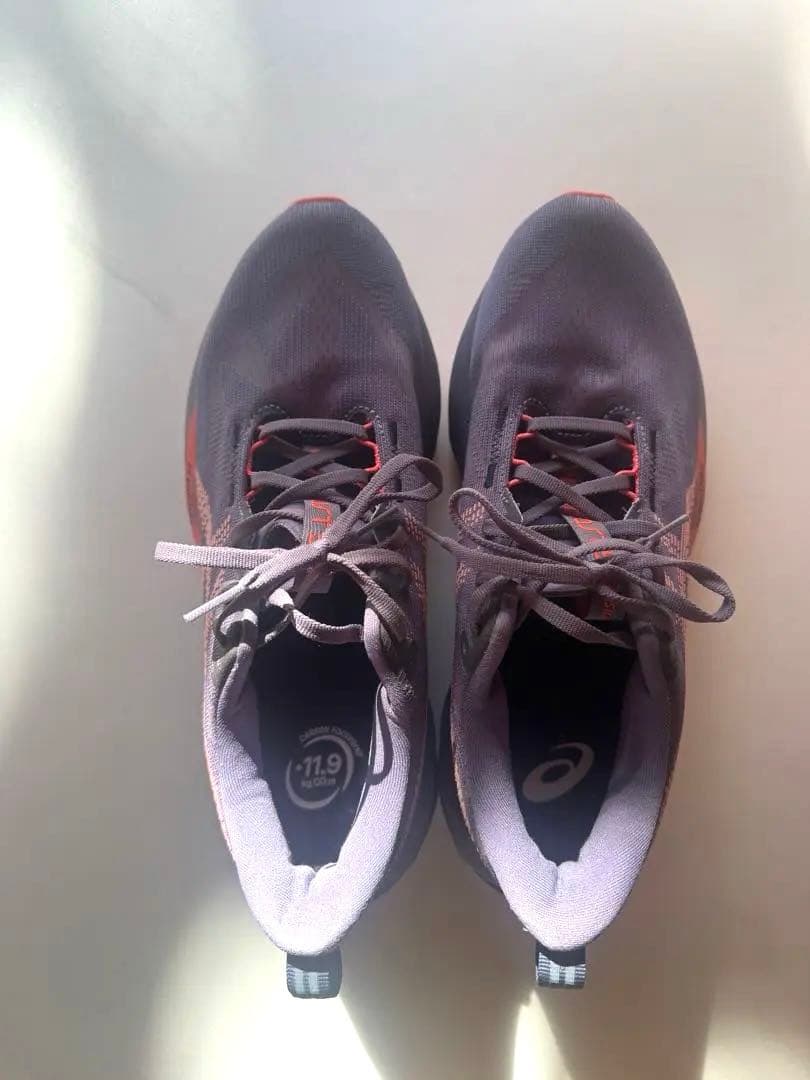 【状態良好】アシックス　ASICS Novablast 5 / 27.5cm