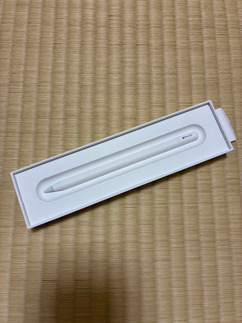 Apple Pencil (USB-C)箱入り