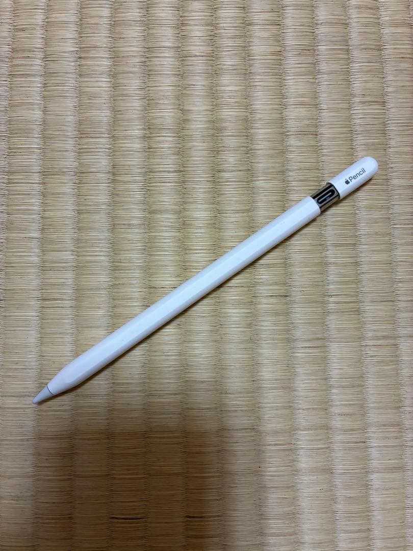 Apple Pencil (USB-C)箱入り