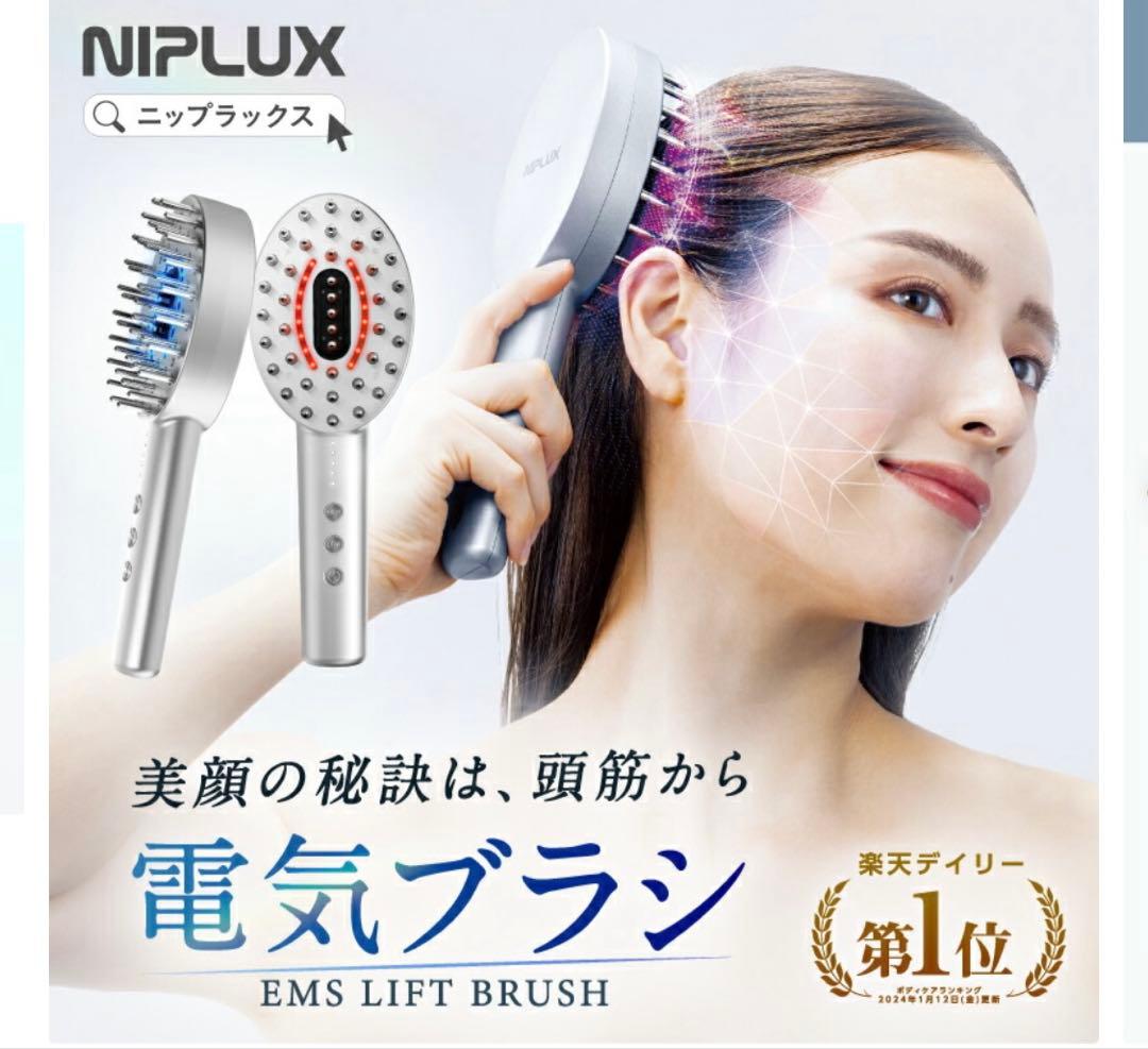 NIPLUX 電気ブラシ