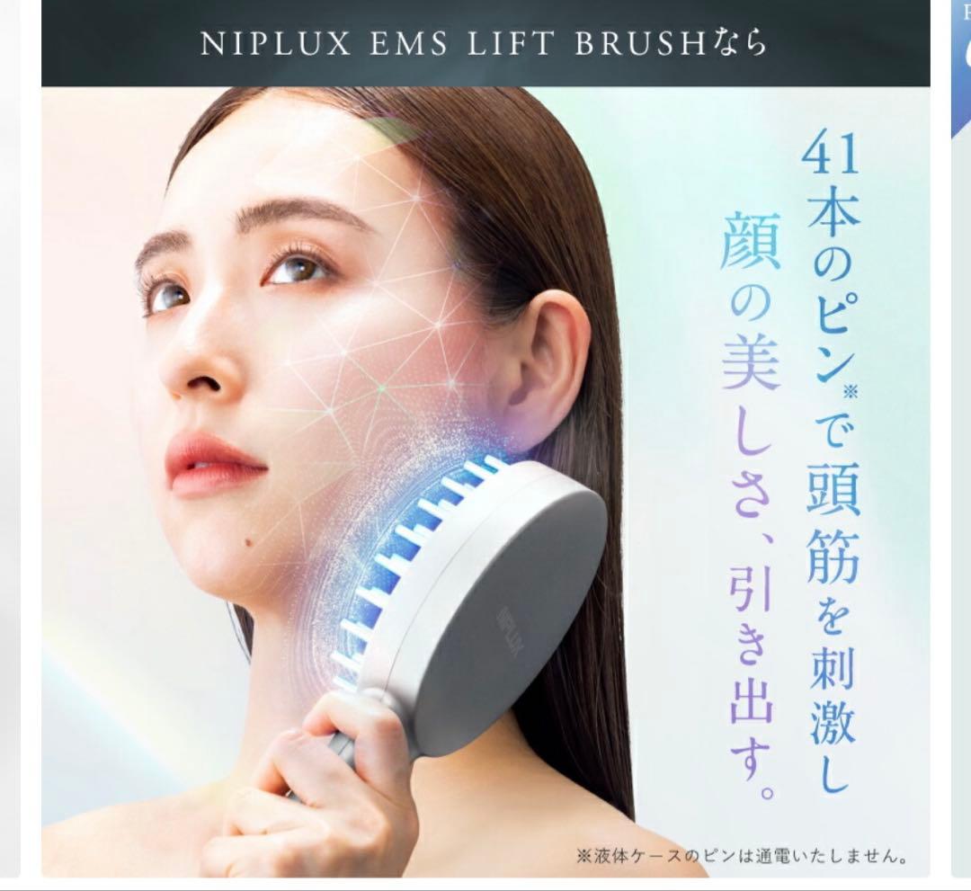 NIPLUX 電気ブラシ