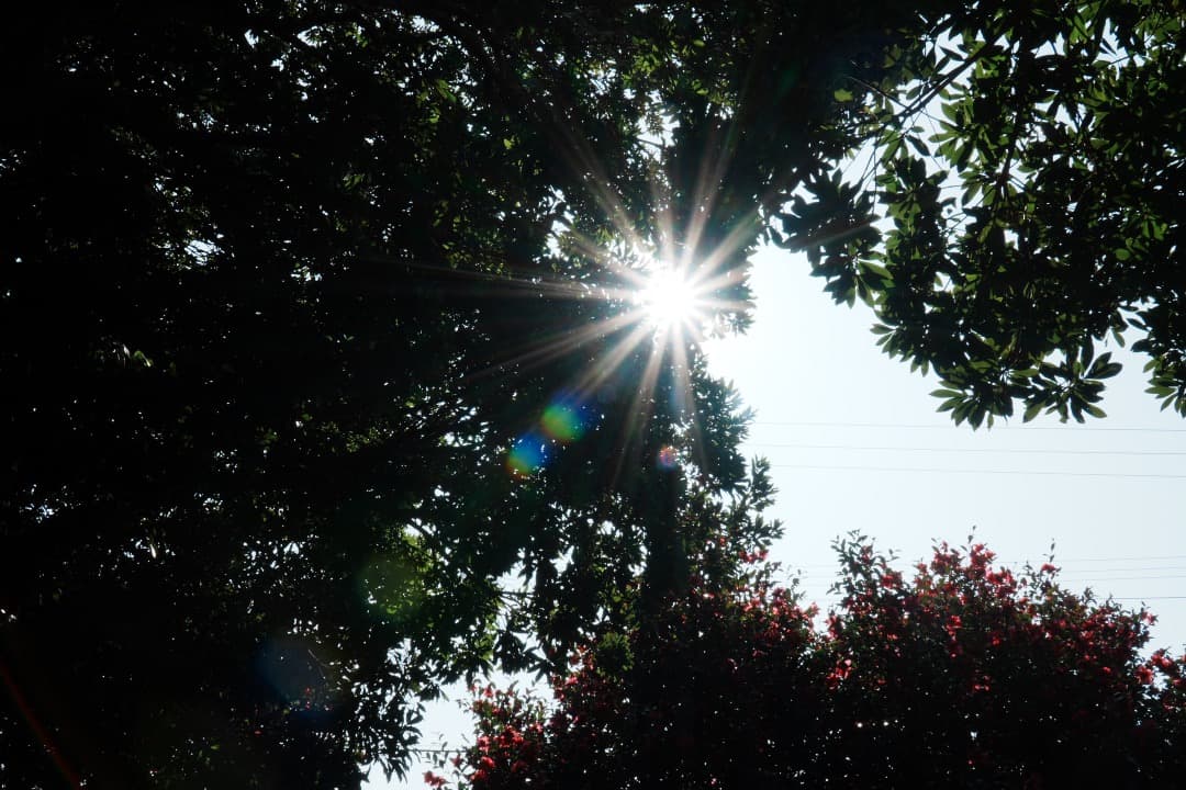 【動画撮影◎】SONY SELP18105G VNDフィルター付 Eマウント