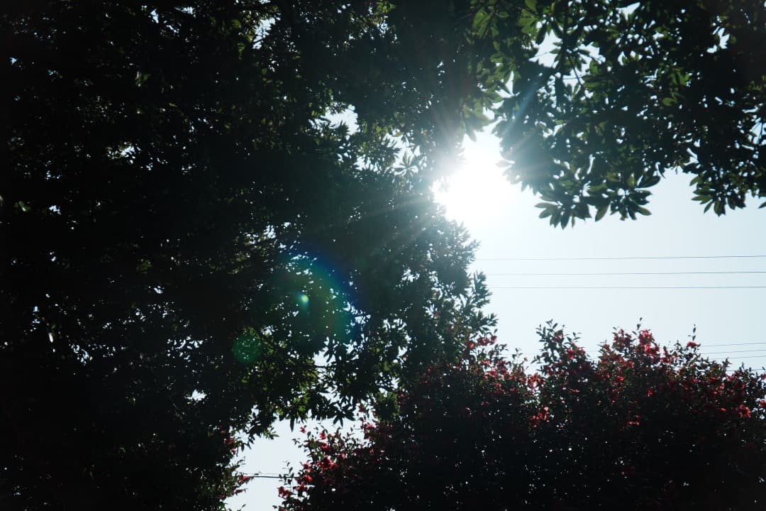 【動画撮影◎】SONY SELP18105G VNDフィルター付 Eマウント