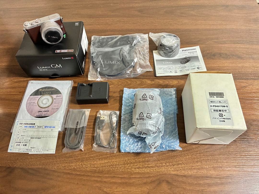Panasonic Lumix GM DMC-GM1SK ブラウン