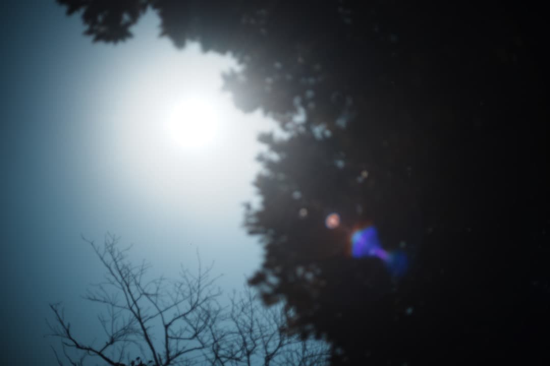 【この値段でライカ級】富岡光学製 XR RIKENON 50mm F2 987