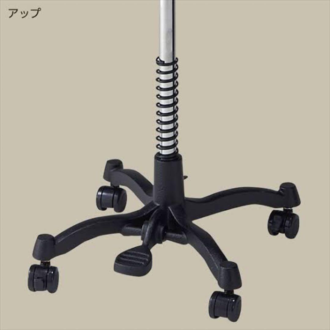 レディーストルソー　カツラギ張