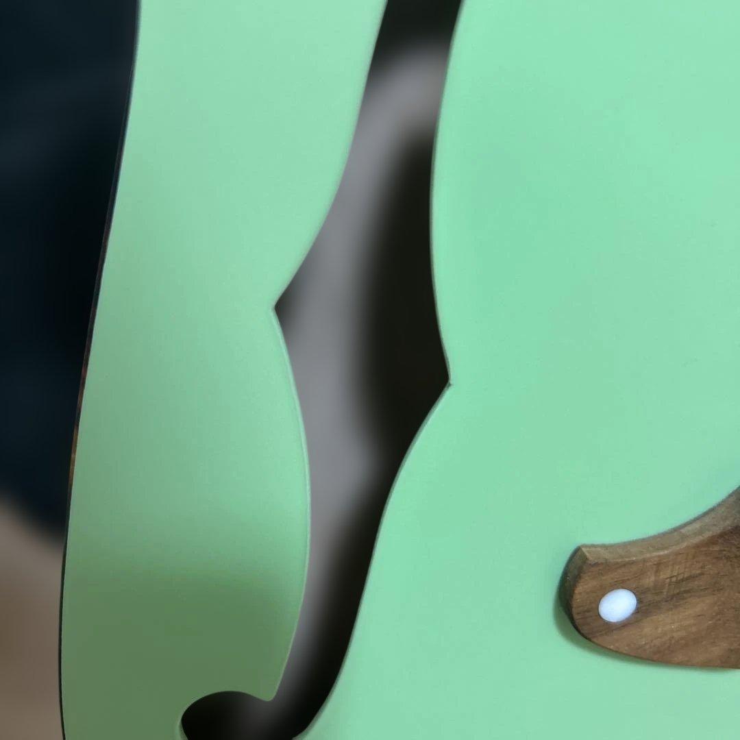 希少✨SCHECTER OL-FL Satin Surf Green ケース付