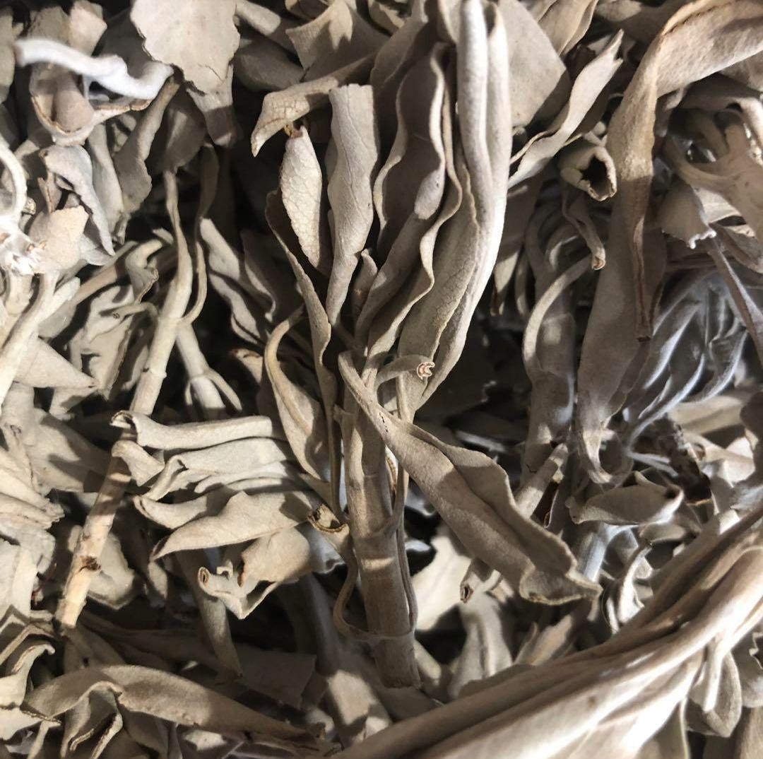 激安価格タイムセール☆無農薬ホワイトセージ枝付きクラスター１ｋｇ