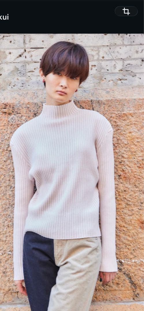 THE SHISHIKUI　Sinp NAVY