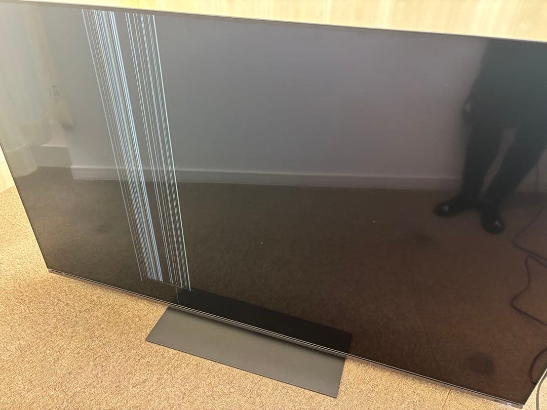 ジャンク REGZA 有機ELテレビ 65インチ レグザ