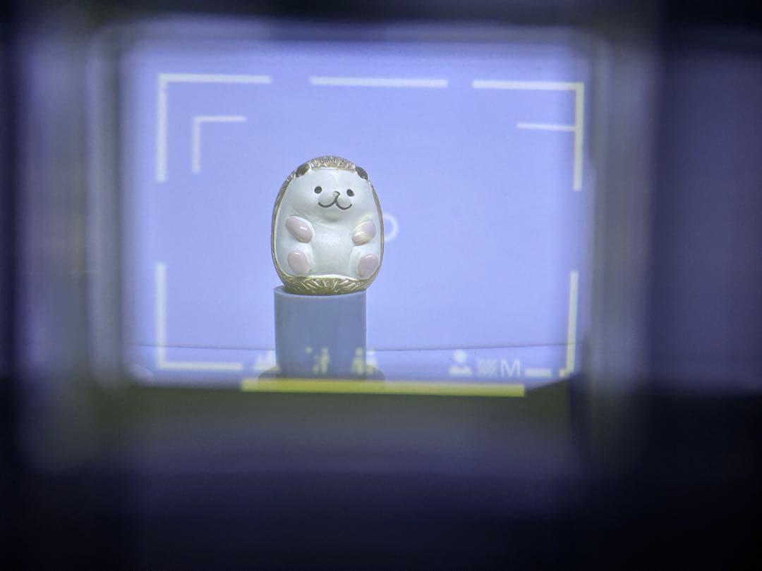 Nikon ニコン L35AWAD ピカイチカリブ　動作品 コンパクトカメラ　3