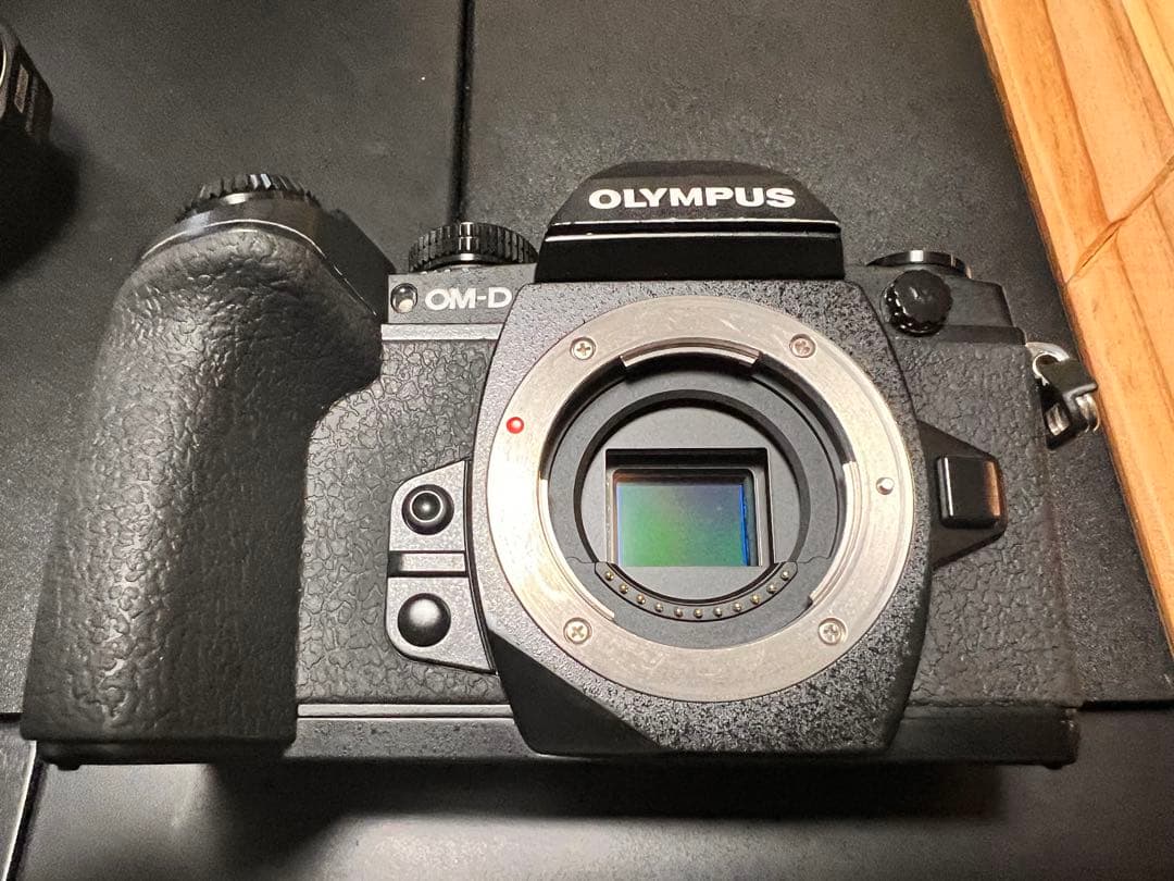 OLYMPUS OM-D E-M1 デジタル一眼レフカメラ