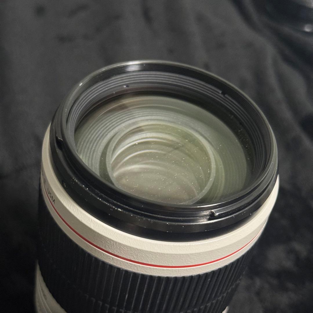 Canon 100-400 F4.5-5.6 L IS II USM 望遠レンズ