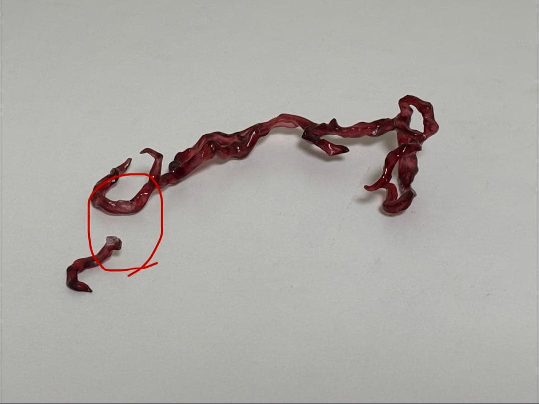 ギ*ス様 スカーレット・ウィッチ 1/6スケールフィギュア ボーナスアクセサリー