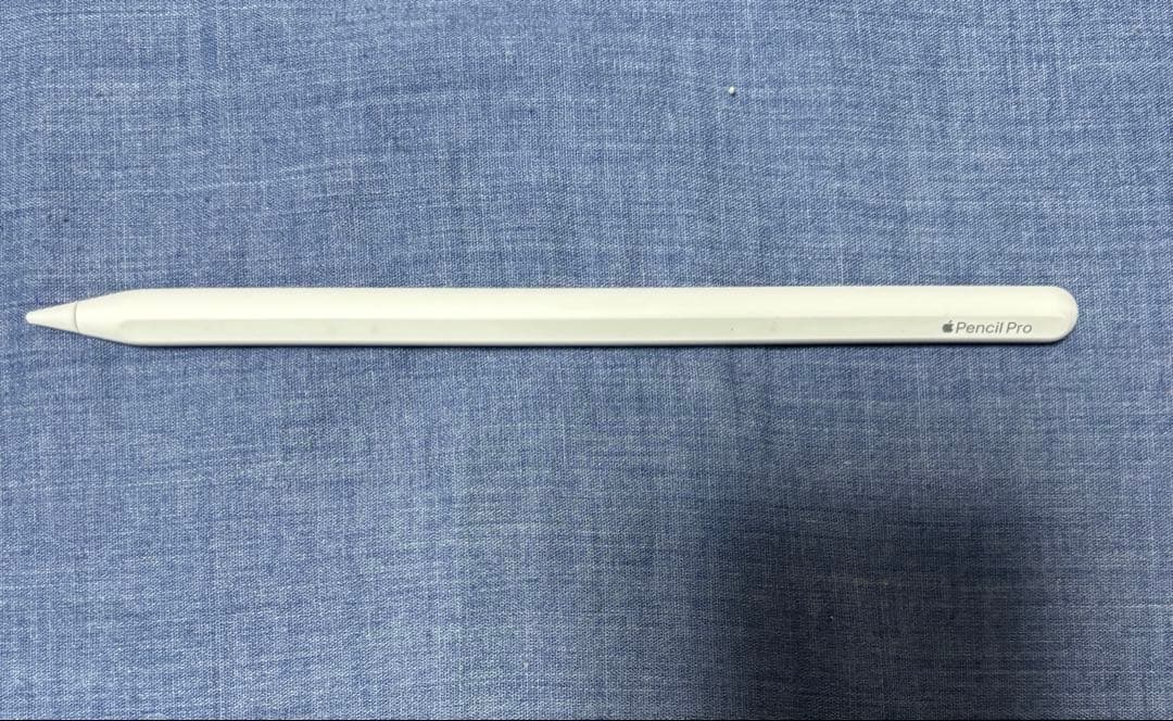 iPad Pro11 M4 256GB セルラー Pencil付