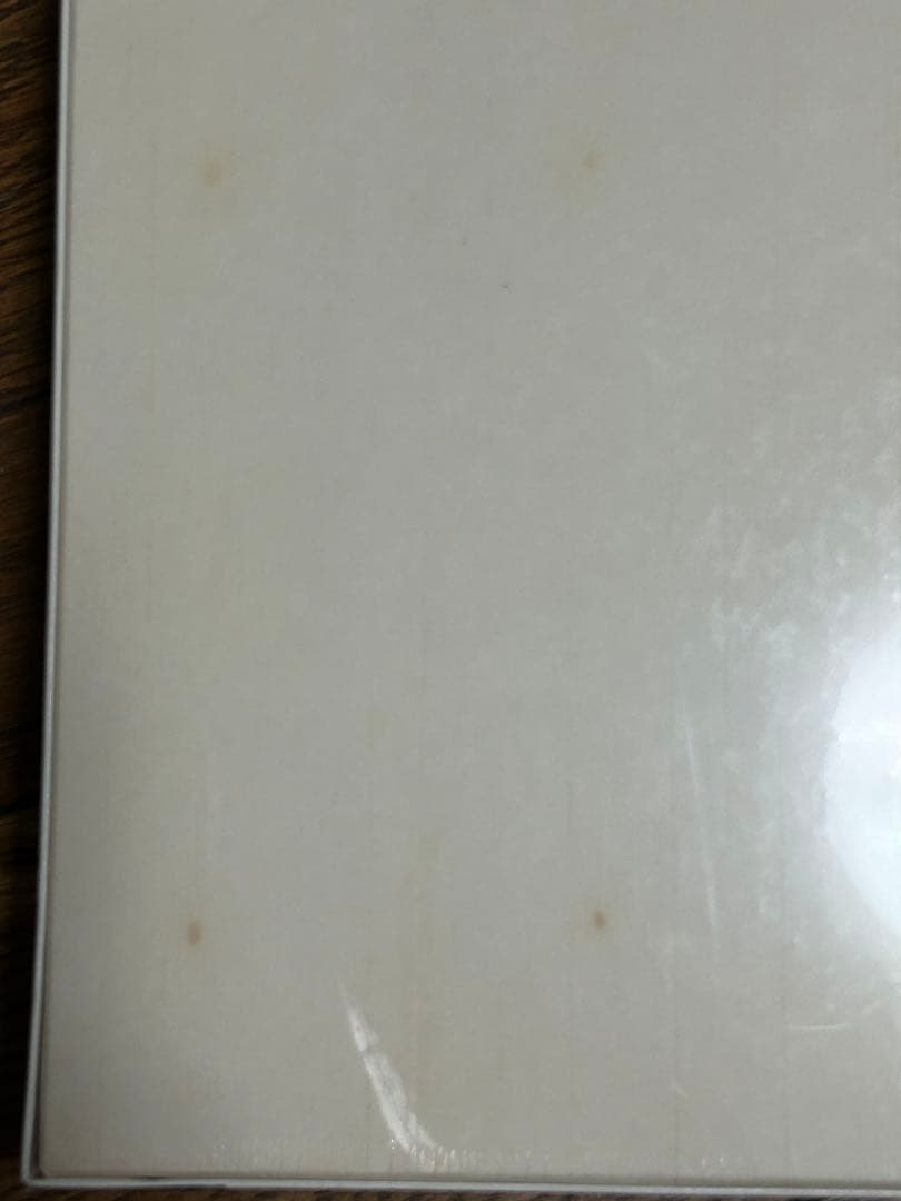 【TDL限定】ジグソーパズル1000ピース　カヌー探検　ミッキーミニーグーフィー