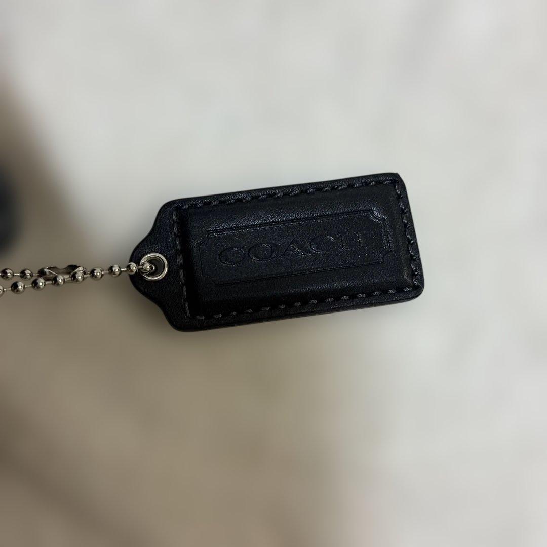 COACH　シグネチャー　内側グリーン　メッセンジャーバック　ショルダーバック