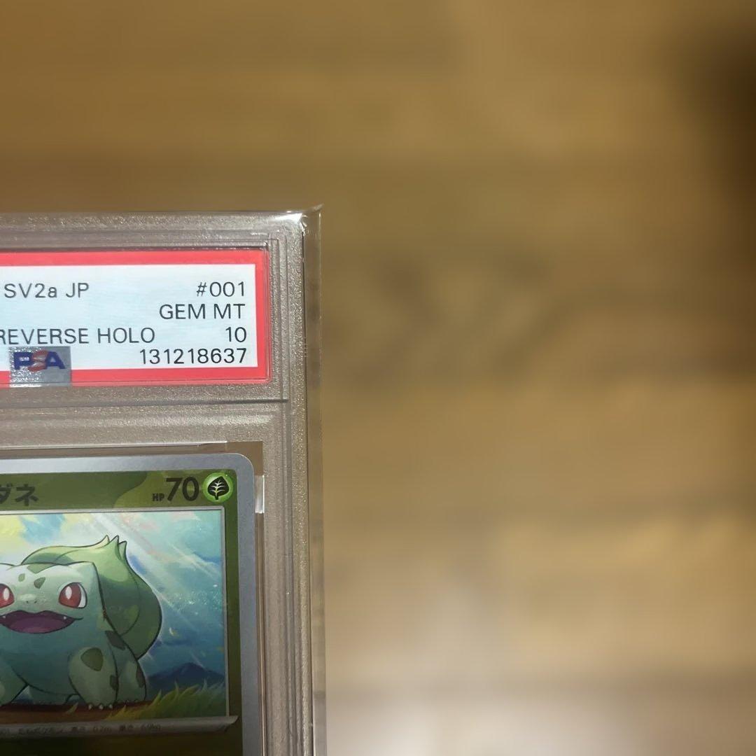 フシギダネ　マスボ　PSA10
