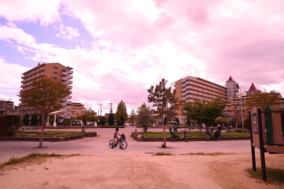 Nikon Z5 ボディ 訳あり