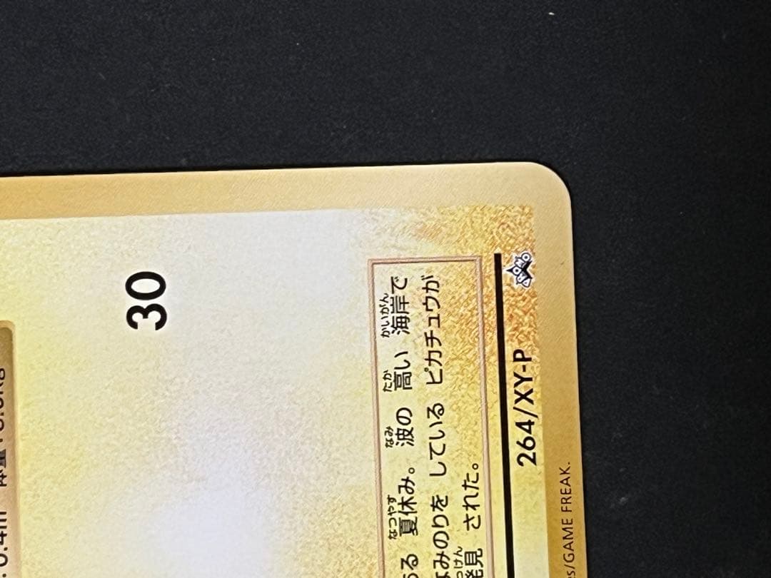 ふ*ー様 なみのりピカチュウ　xy-p コメント、入札お待ちしております。