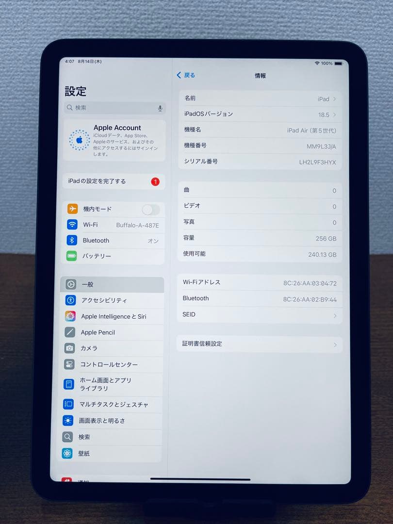 iPad Air 5 (10.9インチ) 256GB Wi-Fi モデル