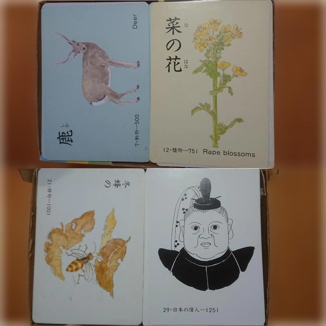 家庭保育園たのしい絵カード 1500枚 ABC CD付き