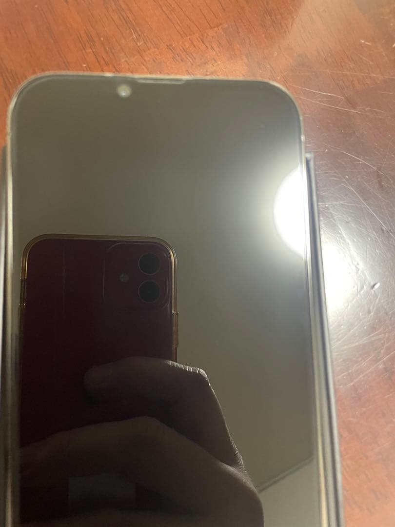 Apple iPhone 13ProMax 1TB本体