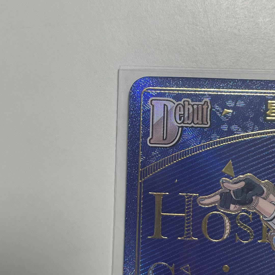 【美品】ホロライブカードゲーム 星街すいせい HR エンチャントレガリア